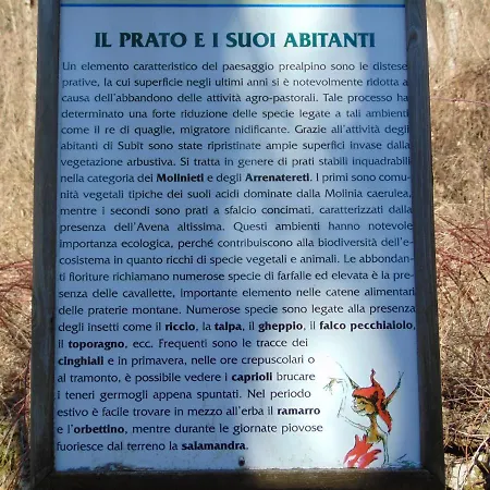 Il Tiglio Oasi Di Pace Nei Monti 게스트하우스 *